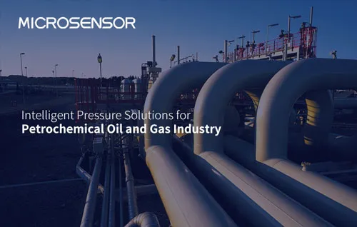 pressure solution for petrochemical oil and gas.webp