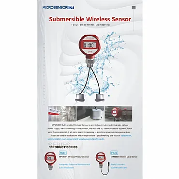 Water Submersible Wireless Sensor