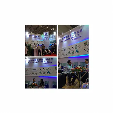Micro Sensor Participated Chongqin MICONEX Exhibition