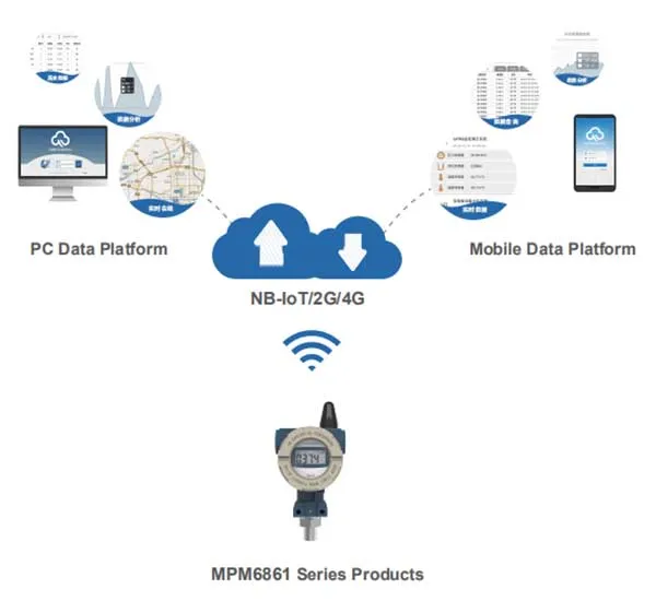 remote monitoring topology