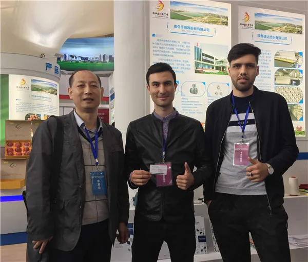 Micro Sensor at 7th China Western International Procurement Conference.