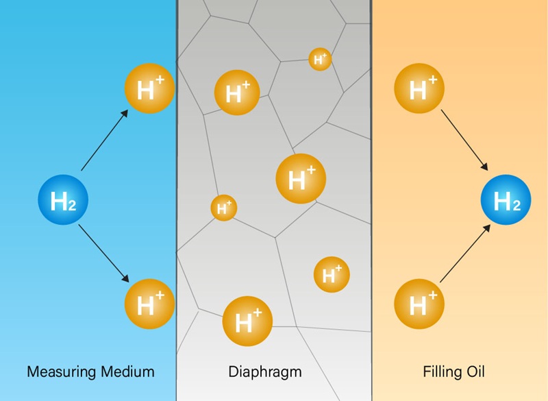 Hydrogen Embrittlement