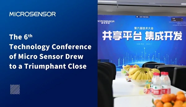 Micro Sensor's 6th Technical Conference: Shared Platform & Integrated Development