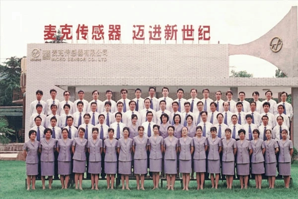 Micro Sensor was founded
