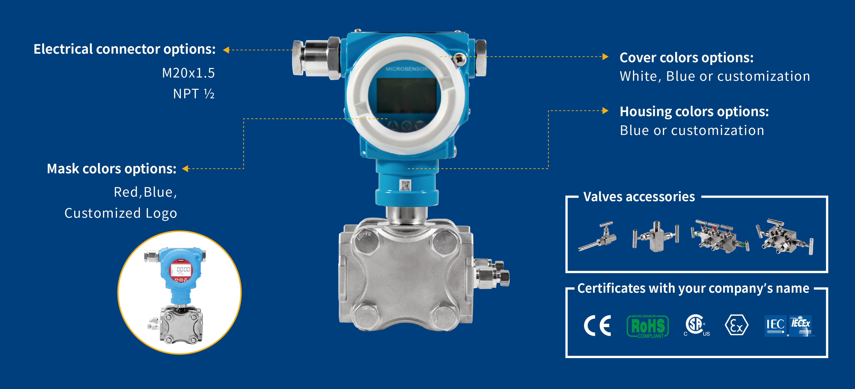 OEM & ODM Custom Solutions for Smart Explosion-Proof Gauge/ Differential Pressure Transmitter