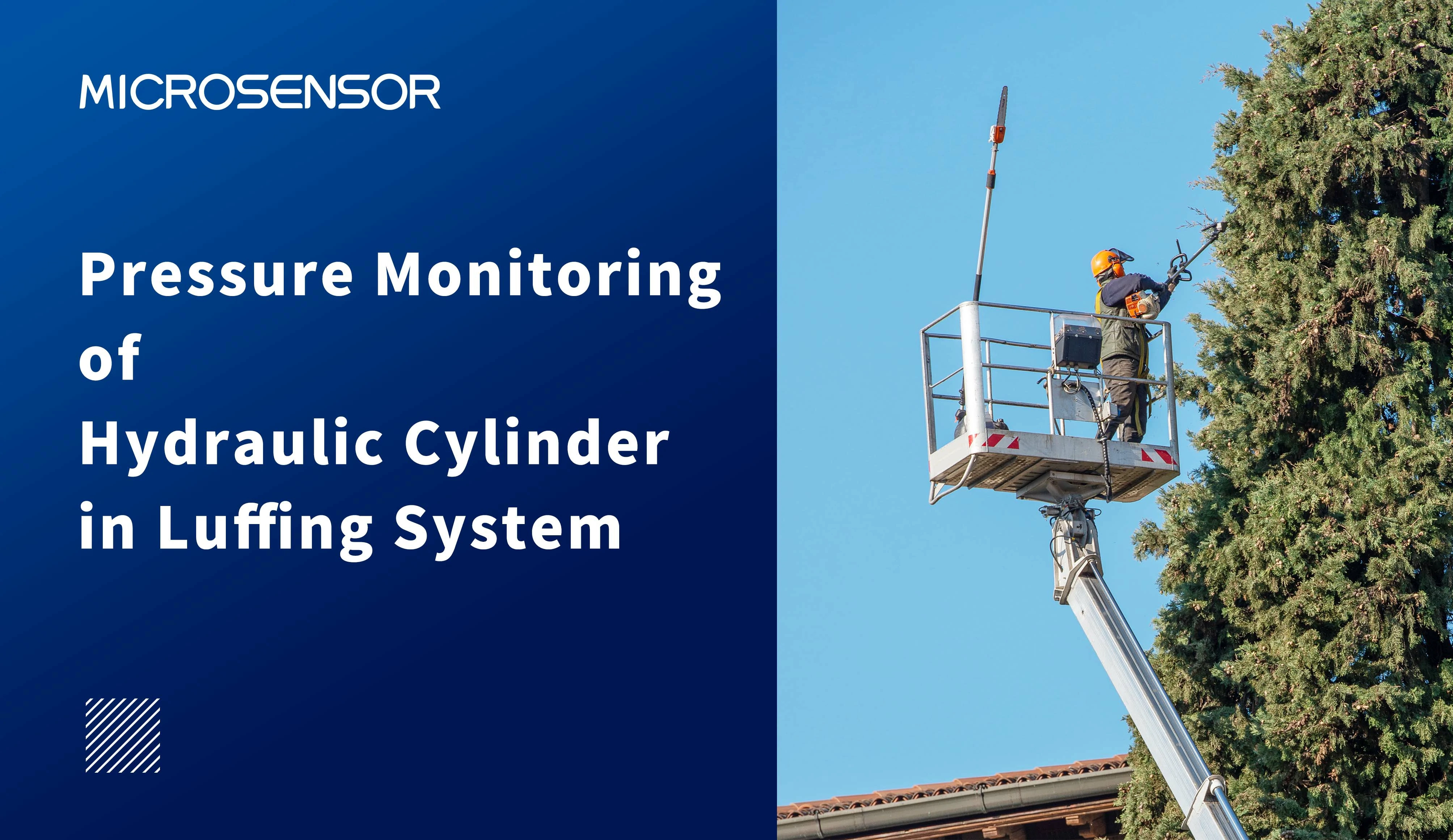 Pressure Monitoring of Hydraulic Cylinder in Luffing System