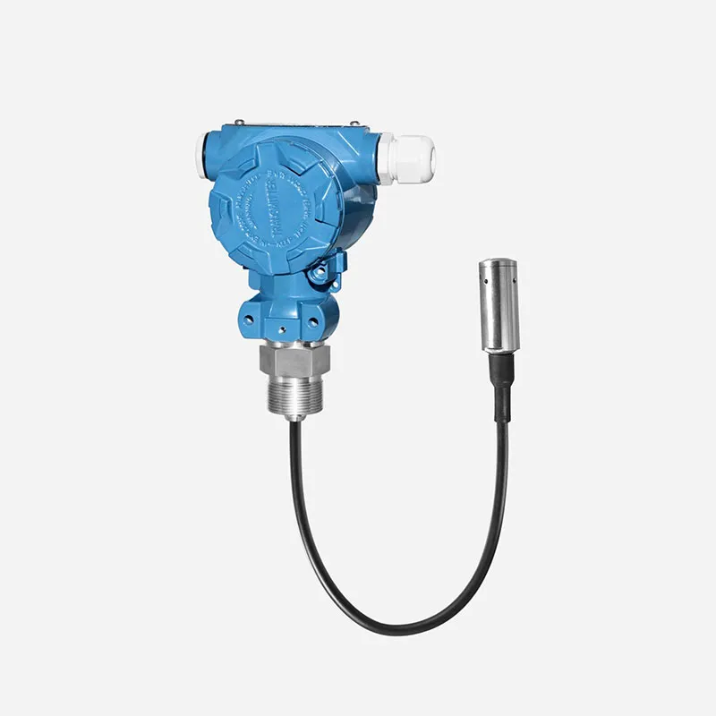 Separated Type Submersible Level Transmitter