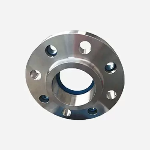 Companion Flange